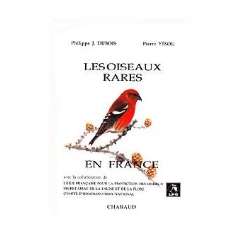 Oiseaux rares en france