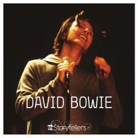 Vh1 storytellers (lp)
