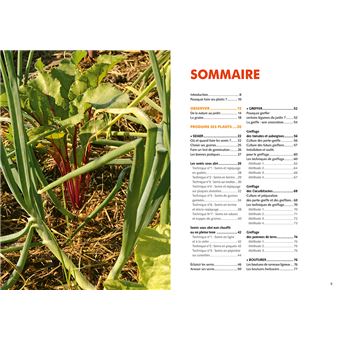 Bons plants - Faire soi-même ses plants de légumes et d'aromatiques