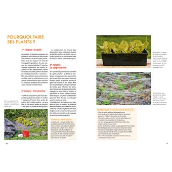 Bons plants - Faire soi-même ses plants de légumes et d'aromatiques