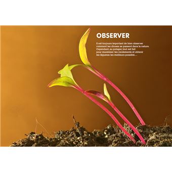 Bons plants - Faire soi-même ses plants de légumes et d'aromatiques