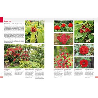 Guide de la couleur au jardin