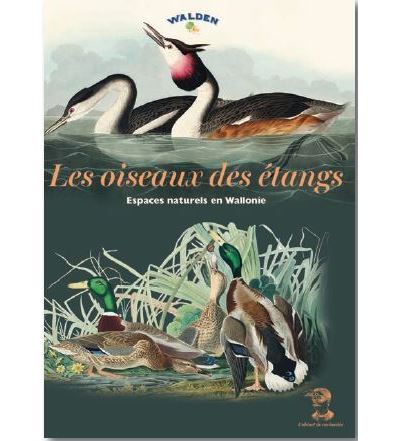 Les oiseaux de l'étang