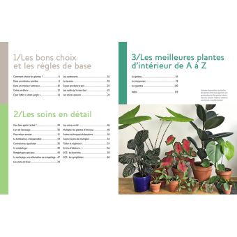 Plantes d'intérieur