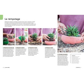 Plantes d'intérieur