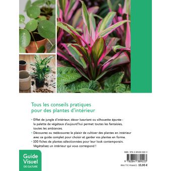 Plantes d'intérieur