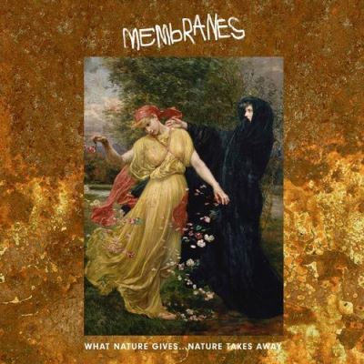 What Nature Gives Nature Takes Away Double Vinyle 180 Gr