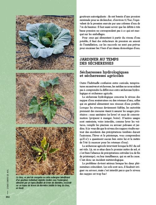 Réussir son potager du paresseux - Un anti-guide pour jardiniers libres -  broché - Didier Helmstetter - Achat Livre ou ebook