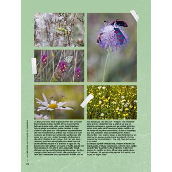 Réussir son potager du paresseux - Un anti-guide pour jardiniers libres