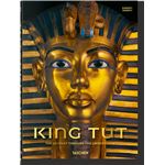 King Tut. The Journey through the U