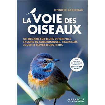 La voie des oiseaux
