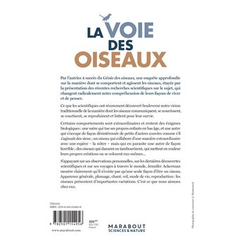 La voie des oiseaux