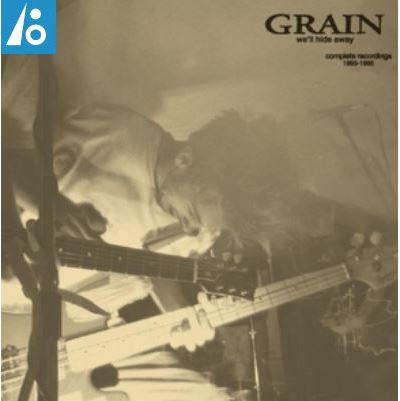 We'll Hide Away : Complete Recordings 1993-1995 Vinyle Gris Opaque