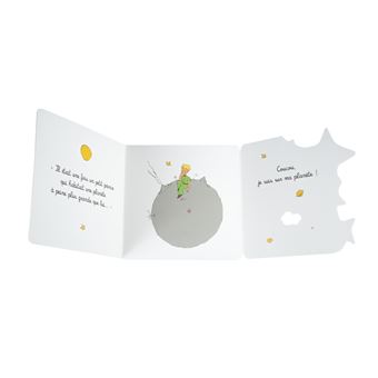 Cache-cache Petit Prince