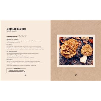 Je cueille et je cuisine les champignons