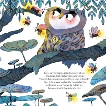 Contes de la nature - La nuit, la chouette et le soleil 3/4 ans