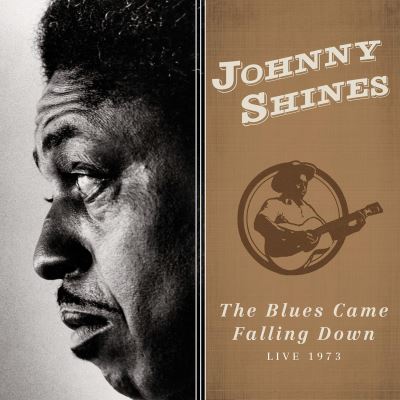 Blues Came Falling Down