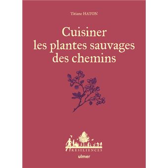 Cuisiner les plantes sauvages des chemins