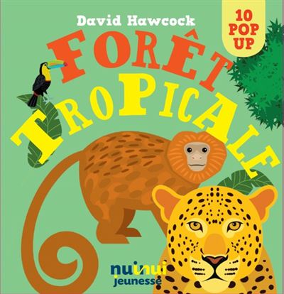 Saisissants pop-up - forêt tropicale - David Hawcock - cartonné