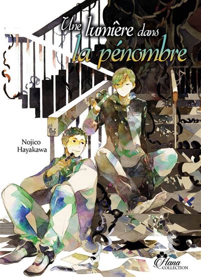La lumiere dans la penombre