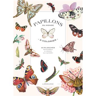 Papillons du monde à colorier