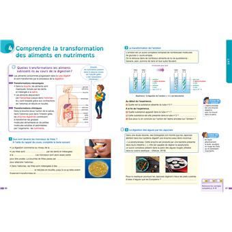 Ma 5e facile ! adapté aux enfants dyslexiques (DYS) ou en difficulté d'apprentissage