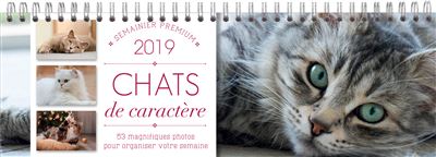 Semainier premium Chats de caractère 2019