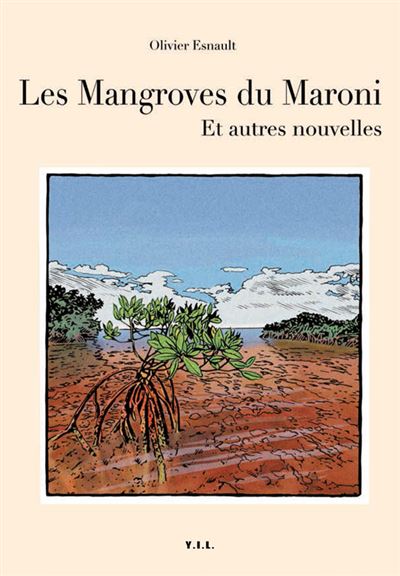 Les mangroves du Maroni