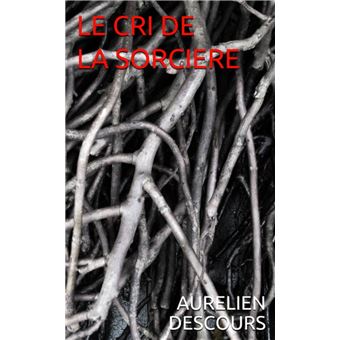 LE CRI DE LA SORCIERE - ebook (ePub) - Aurélien DESCOURS - Achat ebook