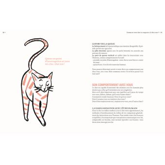 Mon chat adore mon/son appart