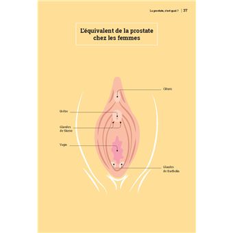 Prostate, on vous dit tout !