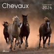 Calendrier chevaux 2026