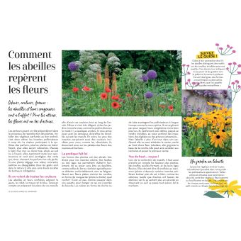 Des plantes mellifères pour mon balcon et mon jardin