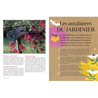 Des plantes mellifères pour mon balcon et mon jardin