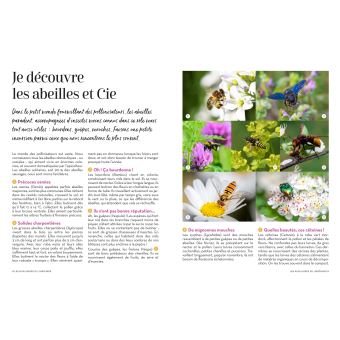 Des plantes mellifères pour mon balcon et mon jardin