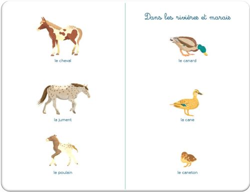 Tout-petit Montessori : Mon imagier des animaux : Mizuho Fujisawa -  2095013867 - Livres pour enfants dès 3 ans