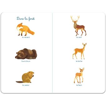 Mon imagier des animaux