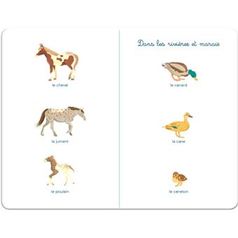 Mon imagier des animaux