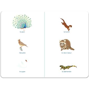 Mon imagier des animaux