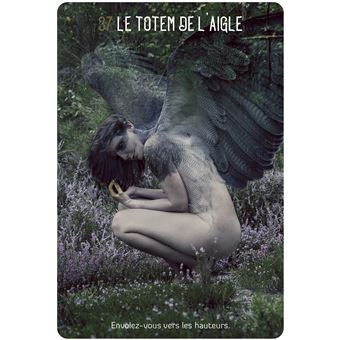 L'Oracle des chamanes Lumière