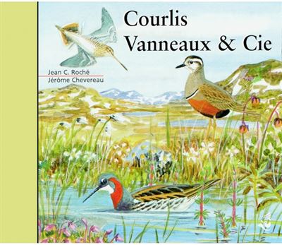 Courlis Vanneaux et compagnie