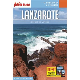 Lanzarote 2020 Carnet Petit Fute Offre Num Broche Dominique Auzias Achat Livre Ou Ebook Fnac