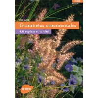 Graminées ornementales