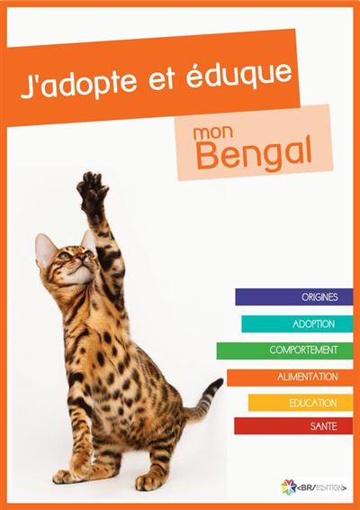 J Adopte Et Eduque Mon Bengal Ebook Epub Rue Du Chat Achat Ebook Fnac