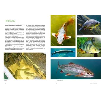 L'aquaponie en pratique - Concevoir et entretenir son installation