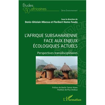 L'Afrique subsaharienne face aux enjeux écologiques actuels