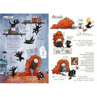 Puffy & Brunilde - tome 2 - Le Journal perdu