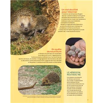 Encyclopédie - Les animaux