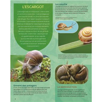 Encyclopédie - Les animaux