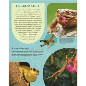 Encyclopédie - Les animaux